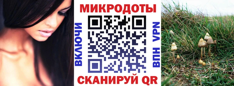 закладки  Куйбышев  Псилоцибиновые грибы мицелий 